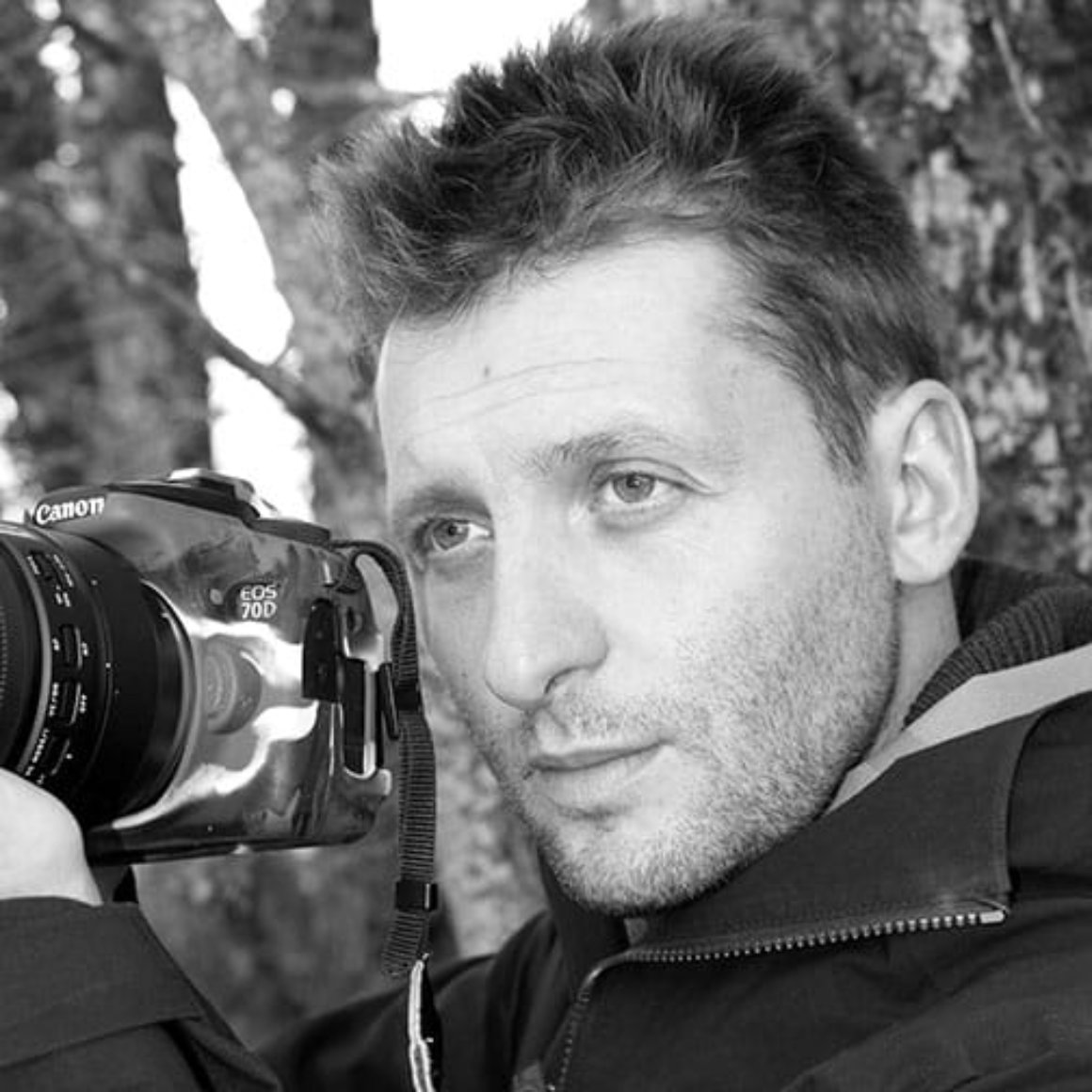 Avis Vert - Nicolas Balverde